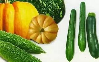 吃瓜阿格,揭秘娱乐圈背后的那些事儿