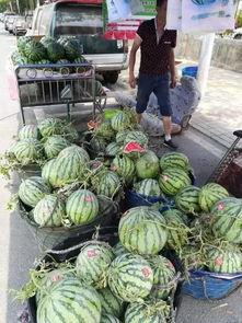 凌源近期吃瓜事件,揭秘背后真相与网络舆论风暴