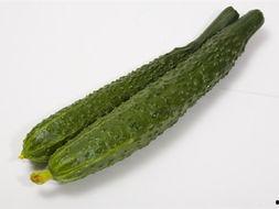 恒利源吃瓜,揭秘瓜界新宠儿的崛起之路