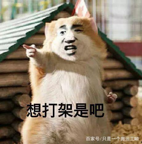 带你吃瓜剪头发,剪头事件背后的瓜田秘闻