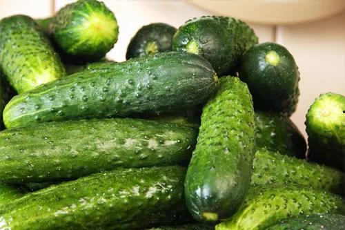 小暑吃蜜瓜视频