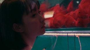 吃瓜少女很执着,揭秘娱乐圈幕后真相