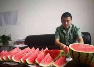 欢喜吃瓜群众,揭秘娱乐圈幕后故事